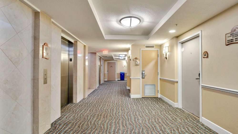 Apartment Oceanfront In Daytona